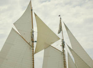 a8.jpg
