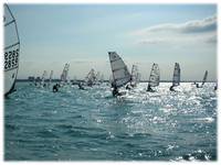 open bic regata1